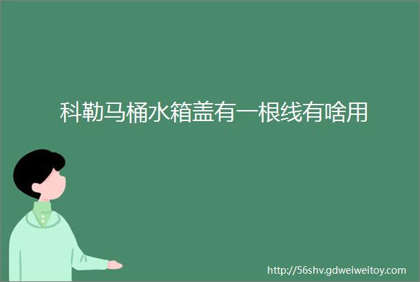 科勒马桶水箱盖有一根线有啥用