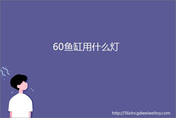 60鱼缸用什么灯